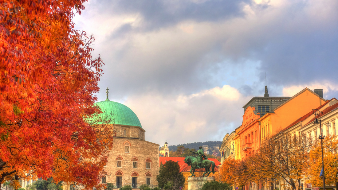 Bus rental for Pécs - Building a learning city