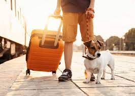 Find the answer: Can Dogs Travel on Trains in Europe?
