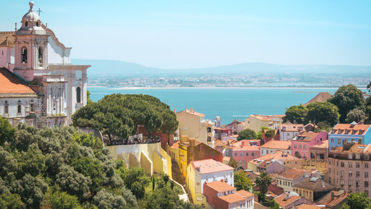 Top 5 Foods to Eat in Lisbon, Portugal