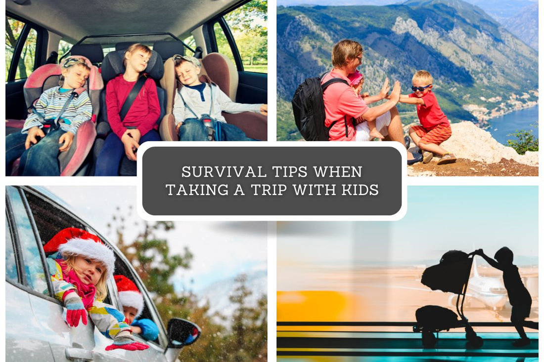 Survival tips when taking a trip with kids