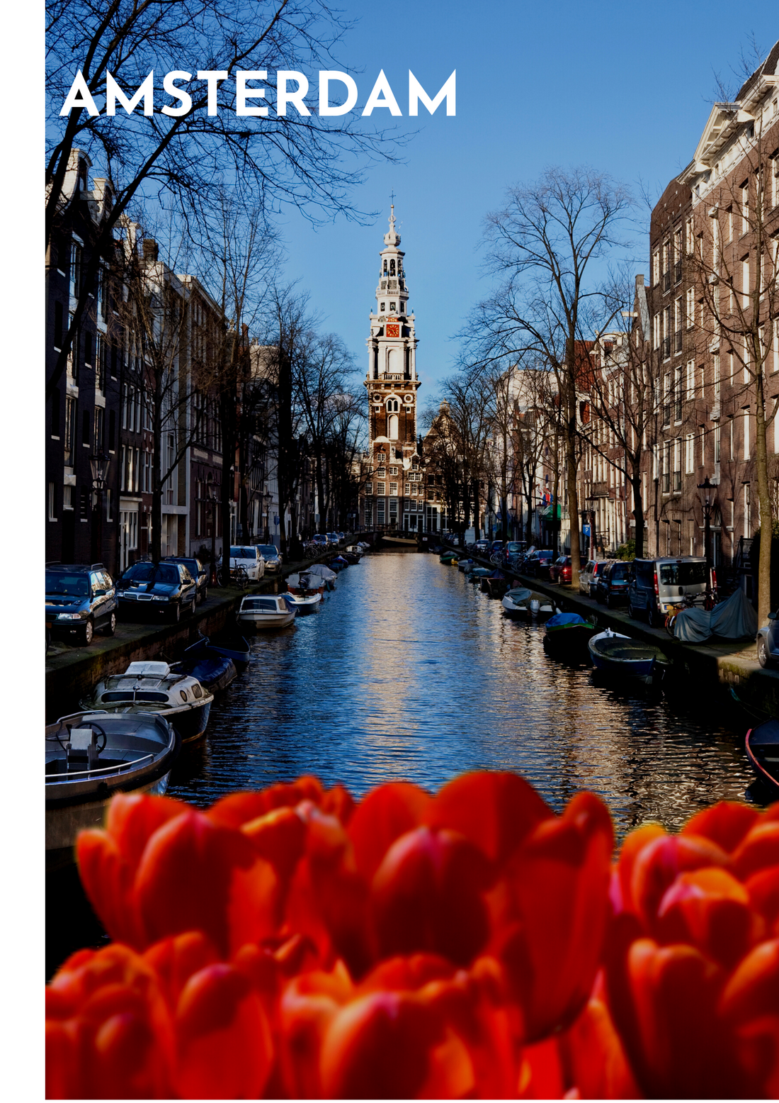 ARE YOU READY FOR A QUICK TOUR IN AMSTERDAM?