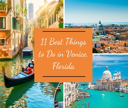 11 Best Things to Do in Venice, Florida