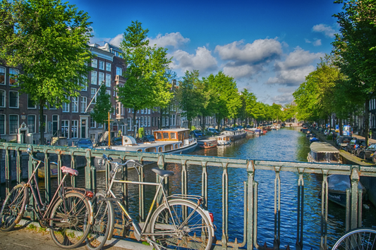 Amsterdam Bus Rental Guide